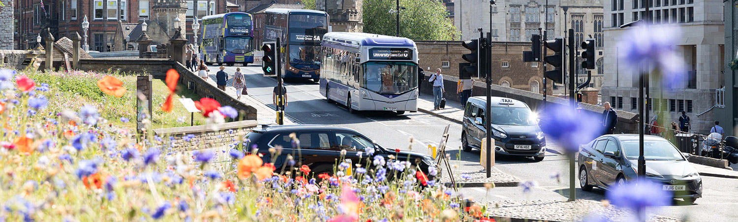 A view of the City of York showing buses and other traffic driving along the street. It is a sunny day and many flowers can be seen in bloom.